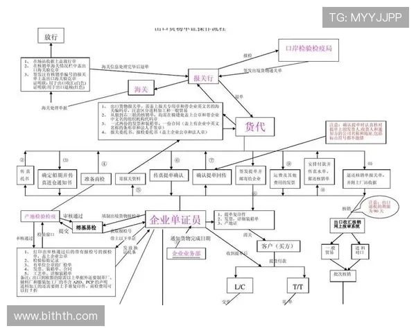 华体会体育线上登陆操作流程全解析确保每一次登录无忧