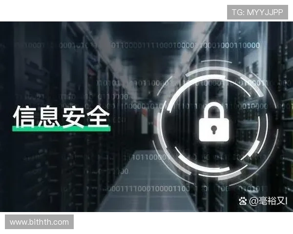 华体会登录页面安全保障措施，确保用户信息安全与账户安全，提供可靠的登录环境