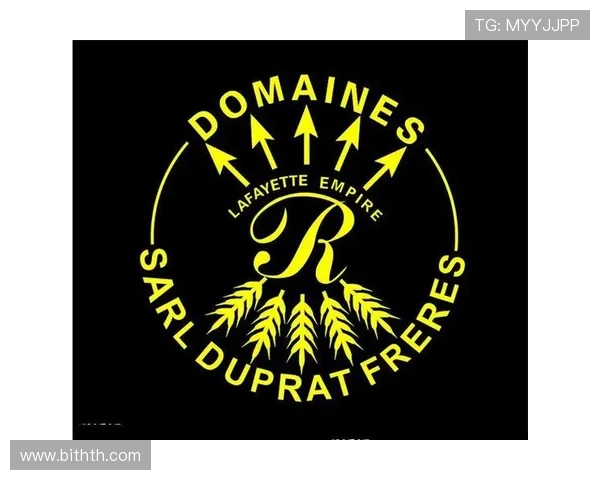 华体会体育与皇马合作的背后故事及其对双方品牌的深远影响